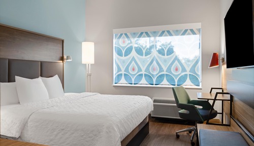 Room, 1 King Bed