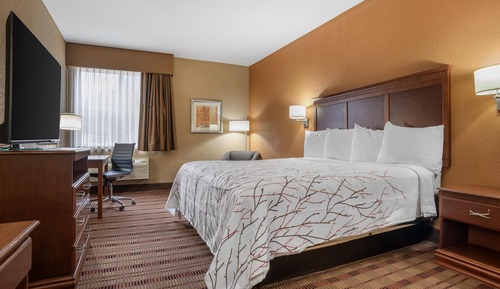 Standard Room, 1 King Bed, Non Smoking, Refrigerator & Microwave