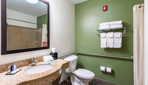 Comfort Room, 1 King Bed, Accessible, Non Smoking