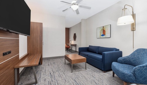 Suite, 1 King Bed with Sofa bed (Additional Living Area)