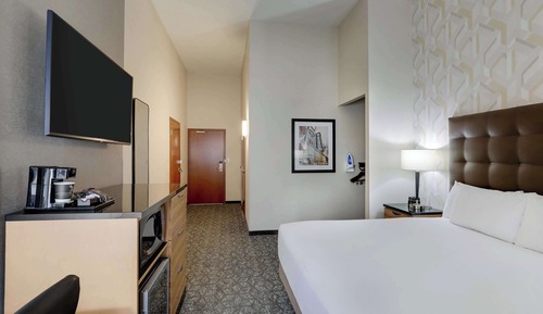 Room, 1 King Bed, Accessible (Roll in Shower)