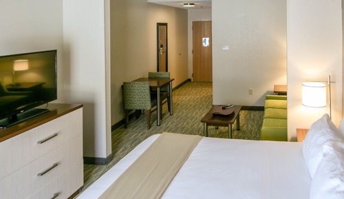 Standard Room, 1 King Bed