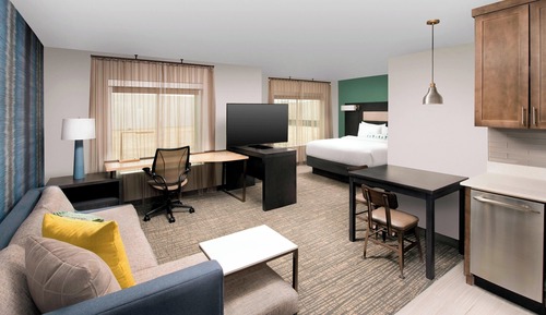 Studio, 1 King Bed with Sofa bed