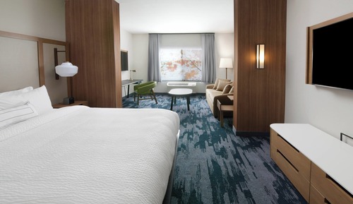 Suite, 1 King Bed with Sofa bed, Roll-in Shower (Transfer Shower)