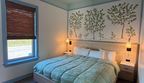 Suite, 1 Bedroom