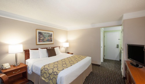 Room, 1 King Bed, Accessible, Non Smoking