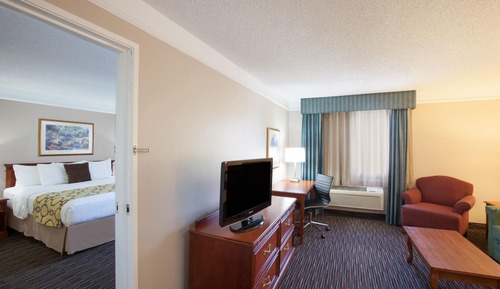 Suite, 1 King Bed, Non Smoking (One-Bedroom Suite)