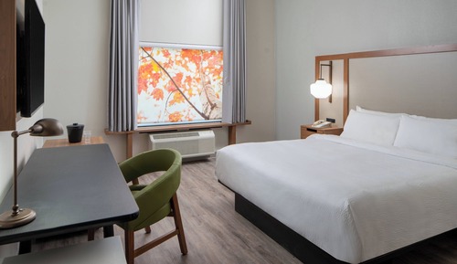 Room, 1 King Bed