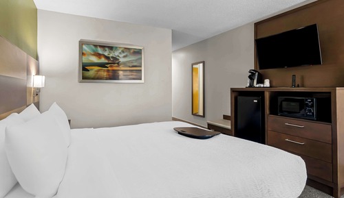 Standard Room, 1 King Bed, Non Smoking, Refrigerator & Microwave