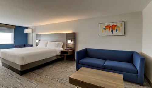Suite, 1 King Bed with Sofa bed