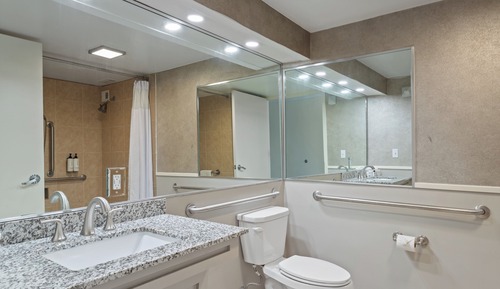 Standard Room, 1 King Bed, Mobility Accessible, Non Smoking (Communications)