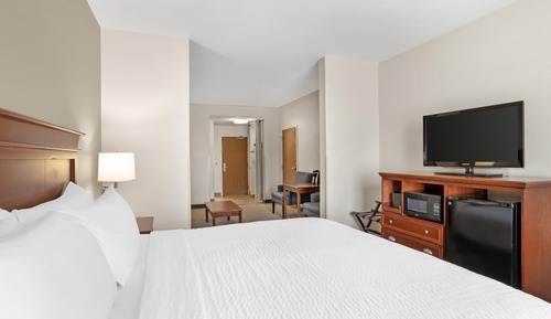 Standard Room, 1 King Bed, Non Smoking, Refrigerator & Microwave (Oversized Room;with Sofabed)