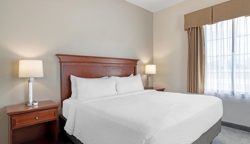 Suite, 1 King Bed, Non Smoking, Refrigerator & Microwave (with Sofabed)