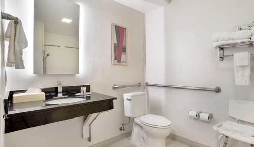 Room, 1 Double Bed, Accessible, Non Smoking