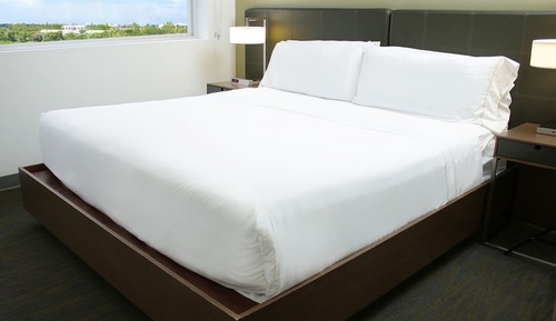 Suite, 1 Bedroom (Mobility/Hearing Access, Roll-In Shwr)