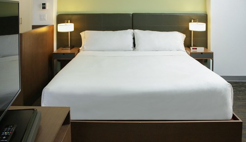 Studio, 1 King Bed with Sofa bed (Mobility/Hearing Access, Roll-In Shwr)