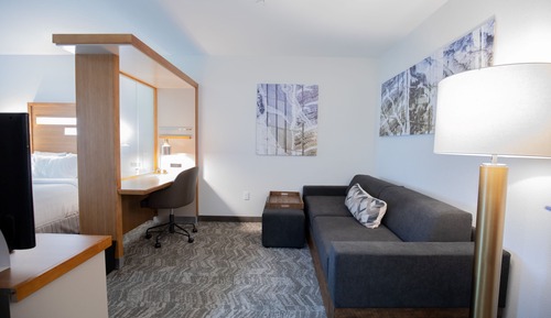 Suite, 1 King Bed with Sofa bed, Accessible Bathtub