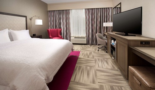Room, 1 King Bed, Accessible, Non Smoking (Roll-in Shower)