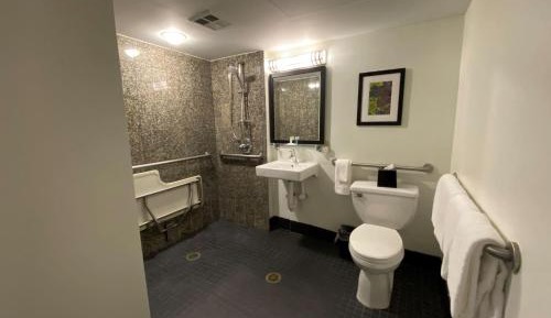 King Room with Roll-in Shower - Mobility Access/Non-Smoking