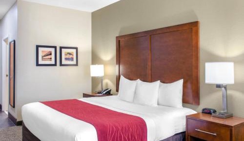 King Room with Hand Rails-Bathroom - Accessible/Non-Smoking