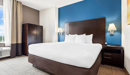 King Room with Roll-In Shower - Accessible/Non-Smoking