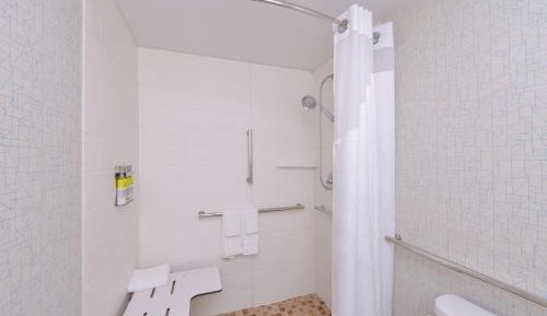 Suite - Mobility Access Roll in Shower/Non-Smoking