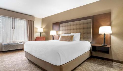 Large Executive King Suite - Non-Smoking
