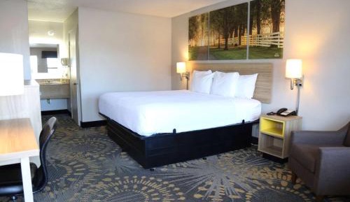 Queen Room - Disability Access/Non-Smoking