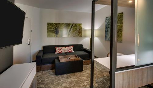 King Suite with Trundle Sofa