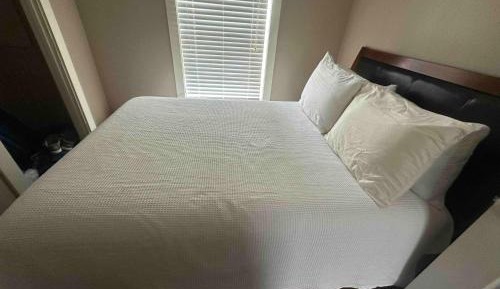 Double Room with Park View