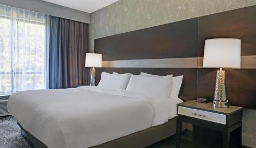 Traditional, Guest room, 1 King