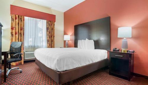 King Suite with Roll-In Shower and Sofa Bed - Disability/Non-Smoking