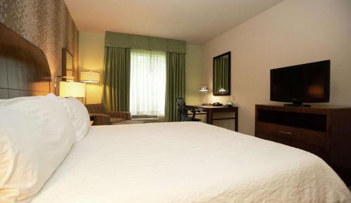 Junior King Suite with Sofa Bed