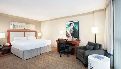 King Room with Bath Tub - Mobility Access