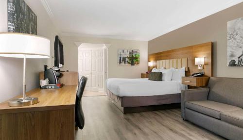 King Room