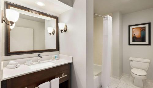 One-Bedroom King Suite - Non-Smoking