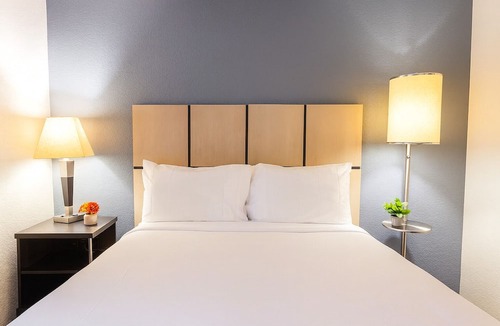 Baymeadows Hotel | Experience Jacksonville's Rich Culture & Nature in Style! Pets Allowed, Kitchen!