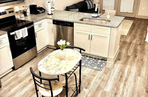 Astrodome Apartment | NEW! -Texas Medical Center-Spacious 1 King 1 Bed 1 Bath-The Middle Of Everywhere
