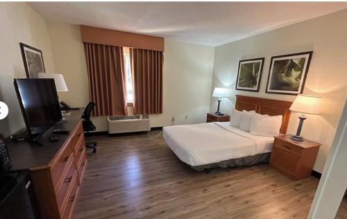 Tampa Hotel | La Quinta by Wyndham Tampa Brandon West