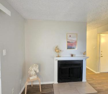 North Arlington Apartment | Modern Luxury 1BR Apt AT&T Stadium, Texas live at Arlington