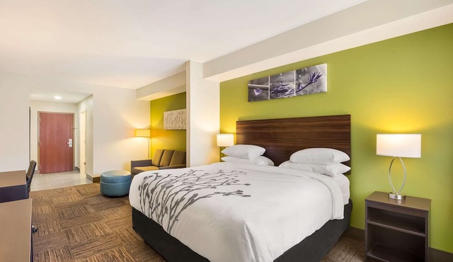 Sleep Inn & Suites North Mobile Saraland