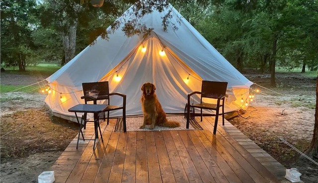 Farmstay & Magical Glamping near Corsicana