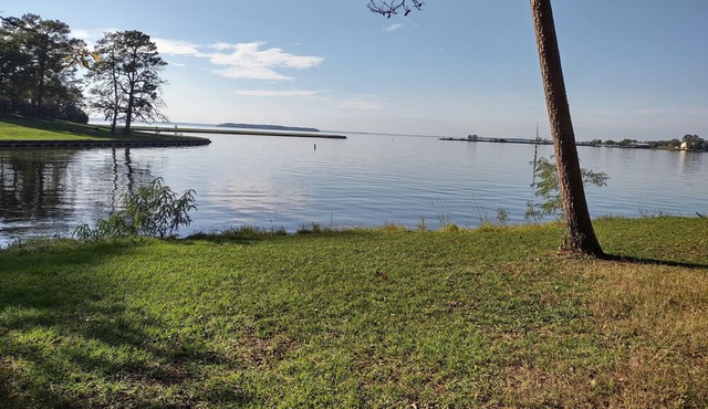Tentrr State Park Site - Texas Lake Livingston State Park - Site C - Single Camp