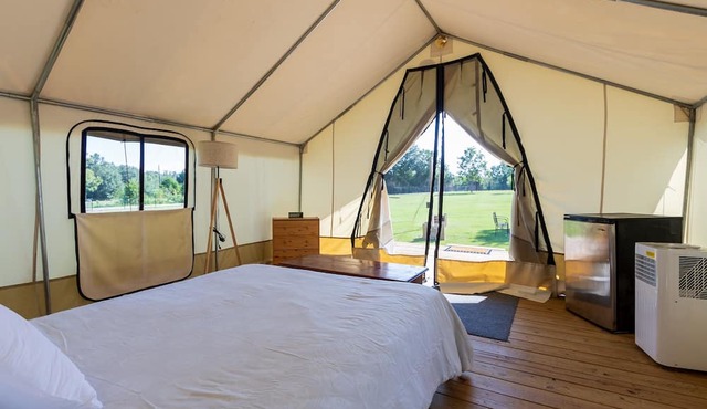 Cozy Forest Retreat: Snug Glamping by the Fire Pit