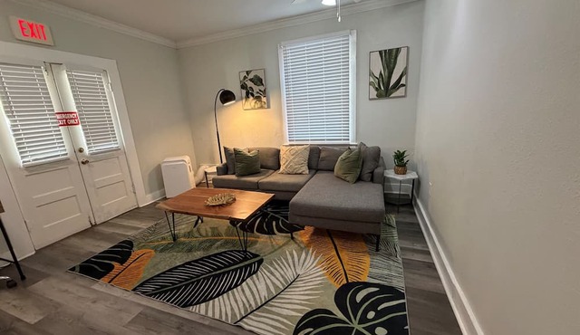 Thornton park paradise 1 bedroom Lake Eola
